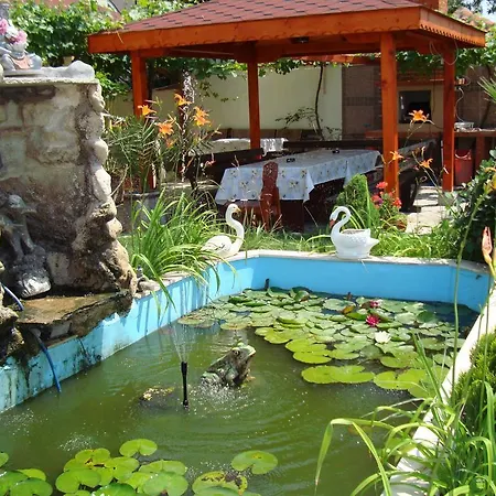 Guest house Alberto 2*